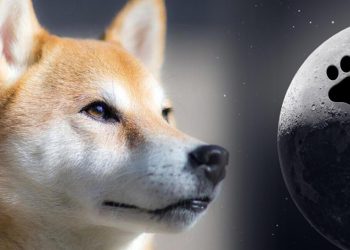 Dogecoin giảm bốn chân - DOGE trượt xuống vị trí vốn hóa thị trường thứ 9 Giảm 18% vào tháng trước