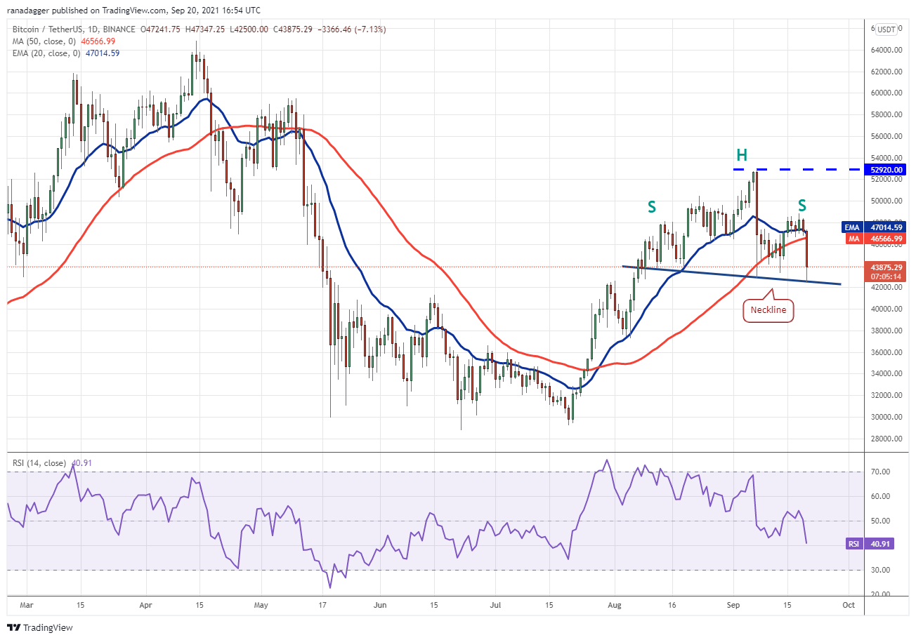 BTC, ETH, ADA, BNB, XRP, SOL, DOT, DOGE, UNI, AVAX 26 BTC, ETH, ADA, BNB, XRP, SOL, DOT, DOGE, UNI, AVAX 25