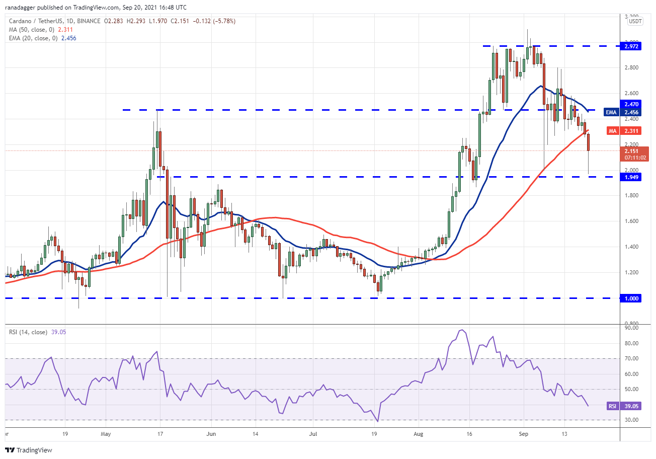 BTC, ETH, ADA, BNB, XRP, SOL, DOT, DOGE, UNI, AVAX 30 BTC, ETH, ADA, BNB, XRP, SOL, DOT, DOGE, UNI, AVAX 29