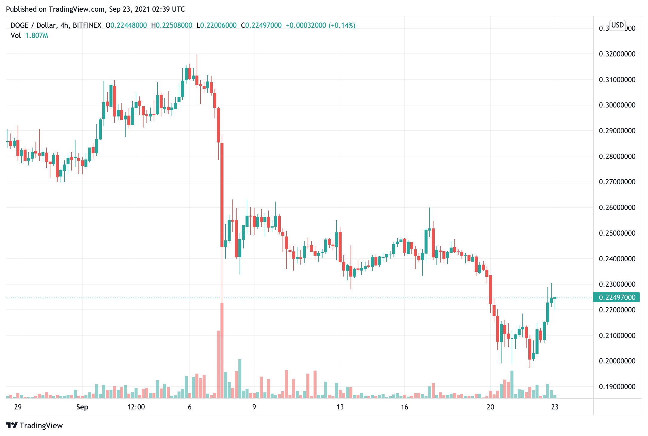 nhà đầu tư bán lẻ-đã-bỏ-dogecoin-sau-nó-giá-định tuyến