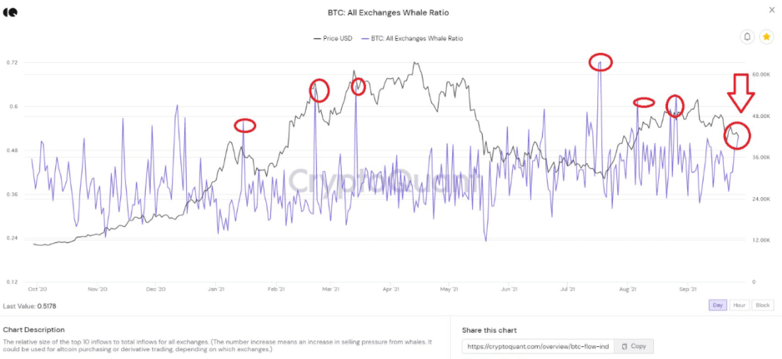 Cá voi bitcoin di chuyển 'kỷ lục' giá trị BTC khi số liệu báo động về sự biến động giá - Tin Tức Bitcoin 2024