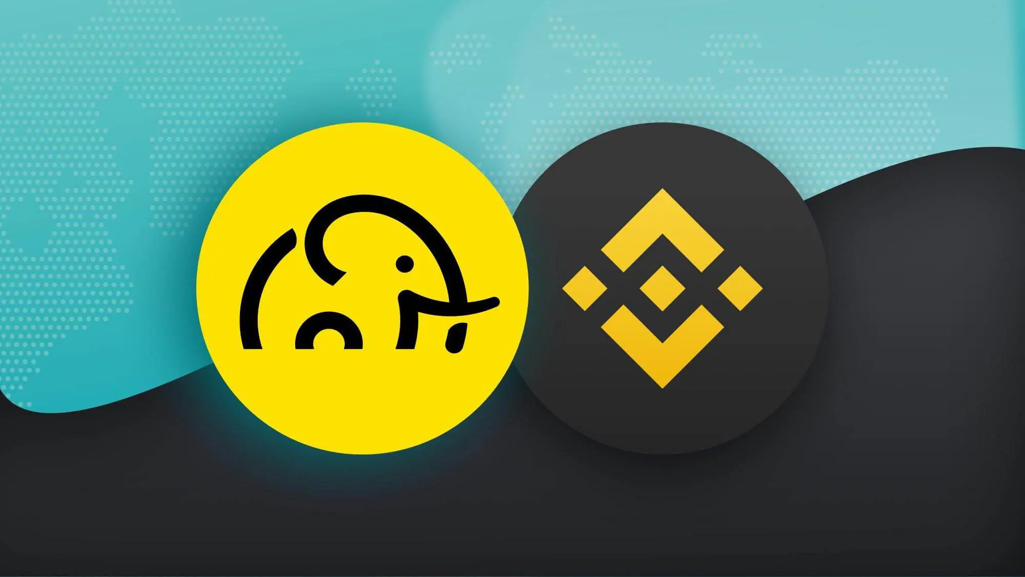 Binance Pay và GoCrypto Mang thanh toán tiền điện tử đến gần hơn với việc sử dụng hàng ngày