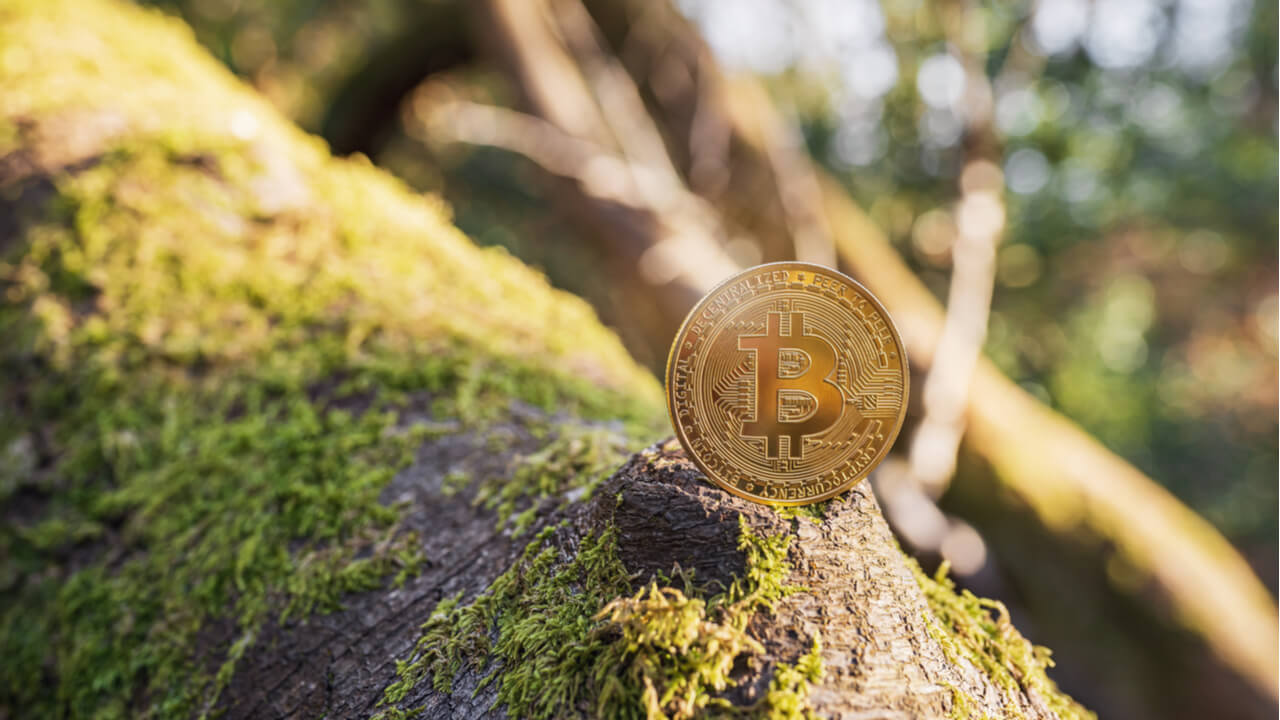 Cryptowisser: Tiền điện tử có khả năng thân thiện với môi trường hơn các ngân hàng truyền thống - Tin Tức Bitcoin 2024