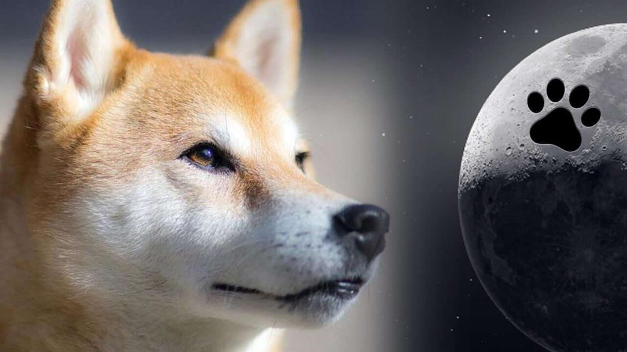 Dogecoin giảm bốn chân - DOGE trượt xuống vị trí vốn hóa thị trường thứ 9 Giảm 18% vào tháng trước