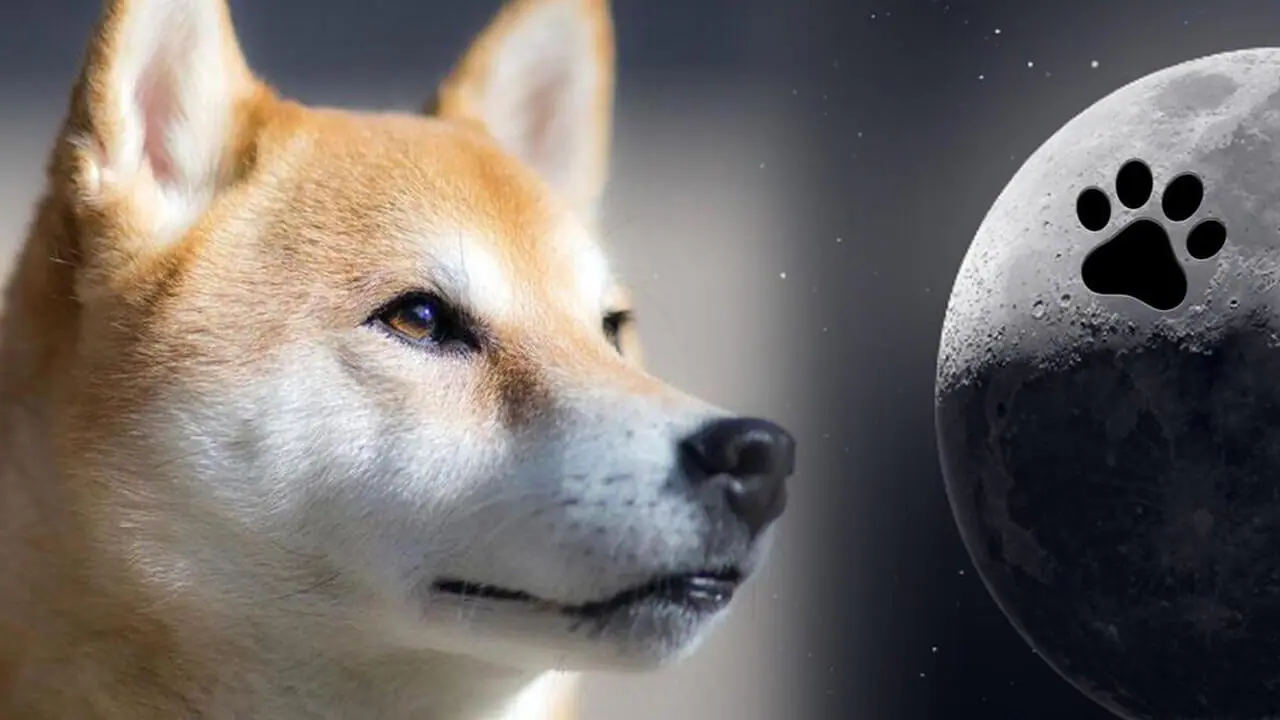 Dogecoin giảm bốn chân - DOGE trượt xuống vị trí vốn hóa thị trường thứ 9 Giảm 18% trong tháng trước - Tin Tức Bitcoin - Cập Nhật Tin Tức Coin Mới Nhất 24/7 2026 Dogecoin giảm bốn chân - DOGE trượt xuống vị trí vốn hóa thị trường thứ 9 Giảm 18% vào tháng trước