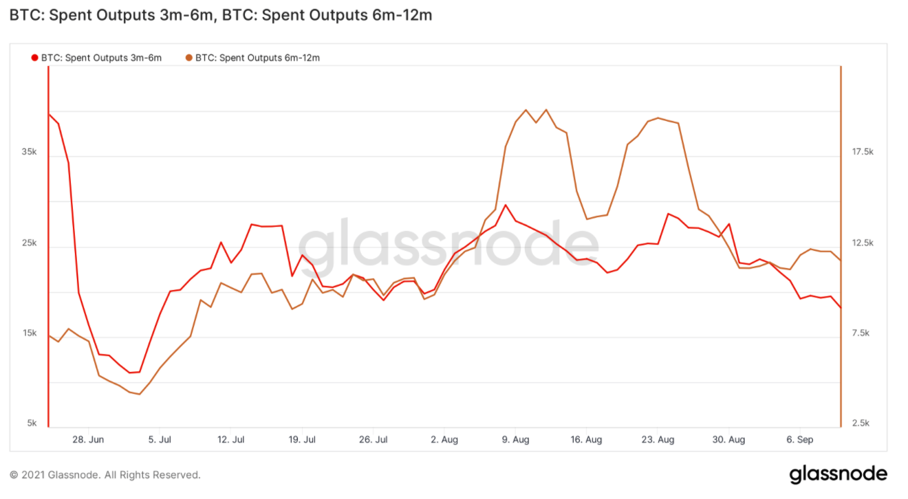 nhà đầu tư-lạc quan-tiếp tục tăng