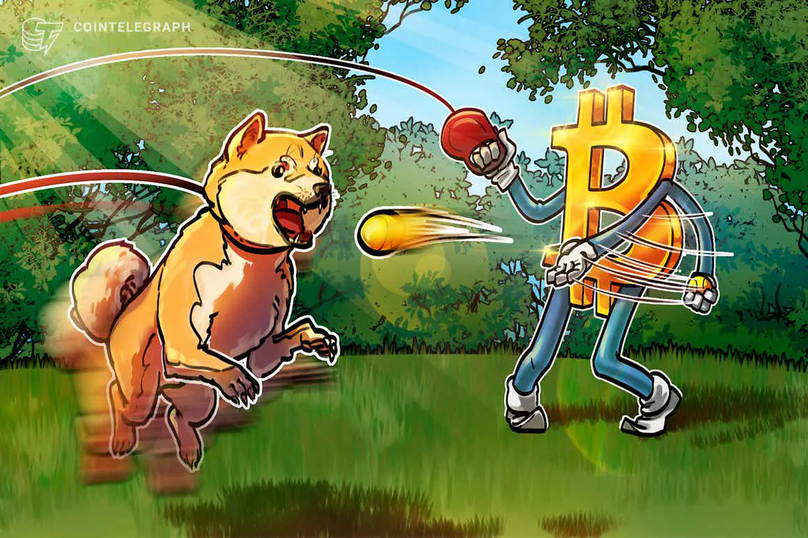 Dogecoin mất 70% so với Bitcoin trong 6 tháng sau khi xác nhận DOGE của người nổi tiếng