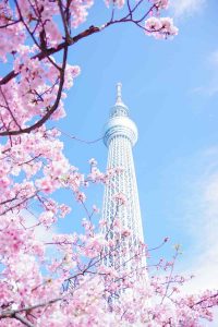 Guide to Tokyo – Cointelegraph Magazine - Tin Tức Bitcoin - Cập Nhật Tin Tức Coin Mới Nhất 24/7 2025 Guide to Tokyo – Cointelegraph Magazine - Tin Tức Bitcoin - Cập Nhật Tin Tức Coin Mới Nhất 24/7 2025