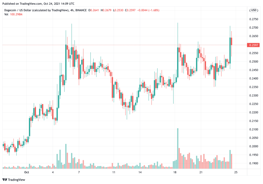 tesla-ceo-elon-musk-Confirm-his-Associate-jared-birchall-wasnt-can-in-dogecoin-foundation1