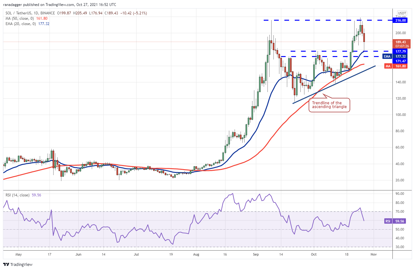 BTC, ETH, BNB, ADA, SOL, XRP, DOT, DOGE, SHIB, LUNA - Tin Tức Bitcoin 2024