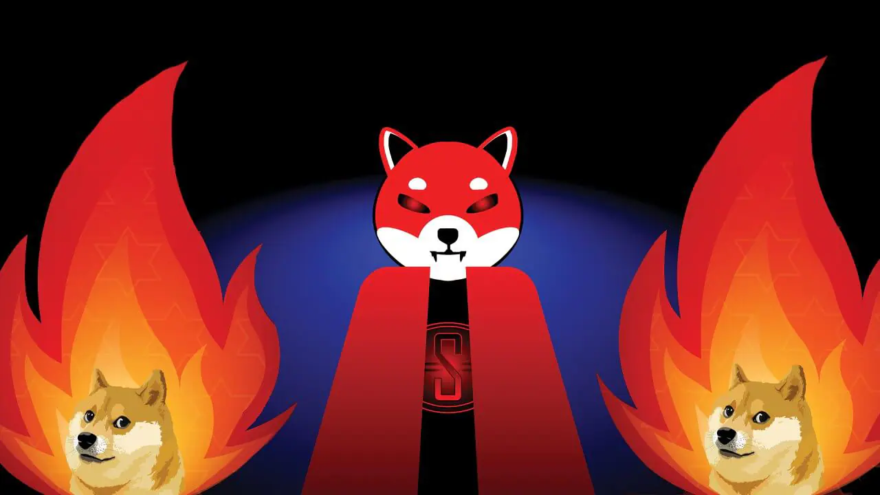 Dogecoin, Shiba Inu, Dogelon Mars dẫn đầu gói 45 mã thông báo giống Doge thu được lợi nhuận từ thiên văn
