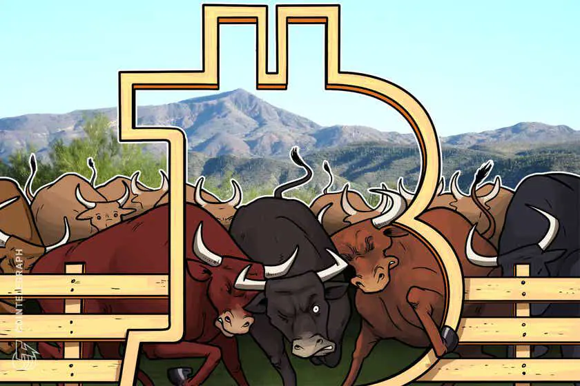 Bò Bitcoin dài hạn tăng mạnh mặc dù giá cao trong 5 tháng - Tin Tức Bitcoin - Cập Nhật Tin Tức Coin Mới Nhất 24/7 2026