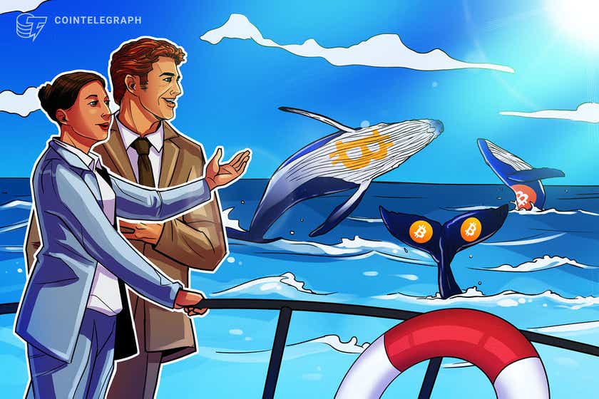 Cá voi có đang chạy trước việc phê duyệt ETF tương lai Bitcoin không? - Tin Tức Bitcoin 2024