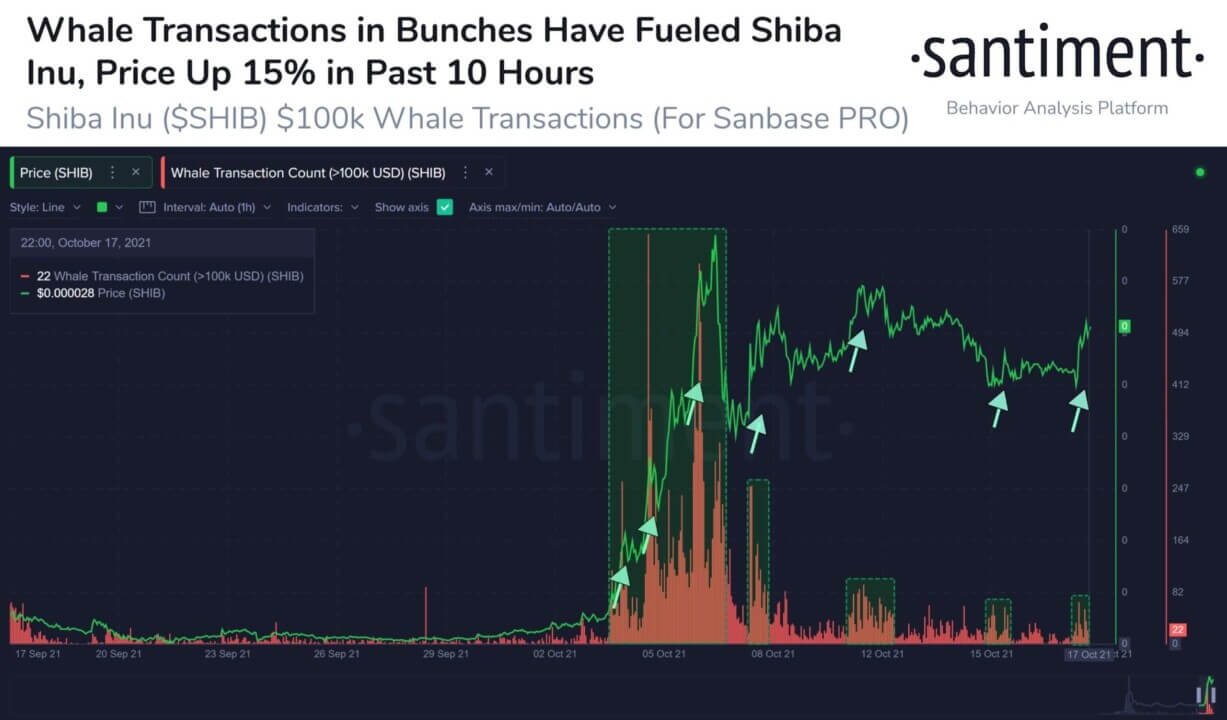 Phân tích giá cá voi Shiba Inu