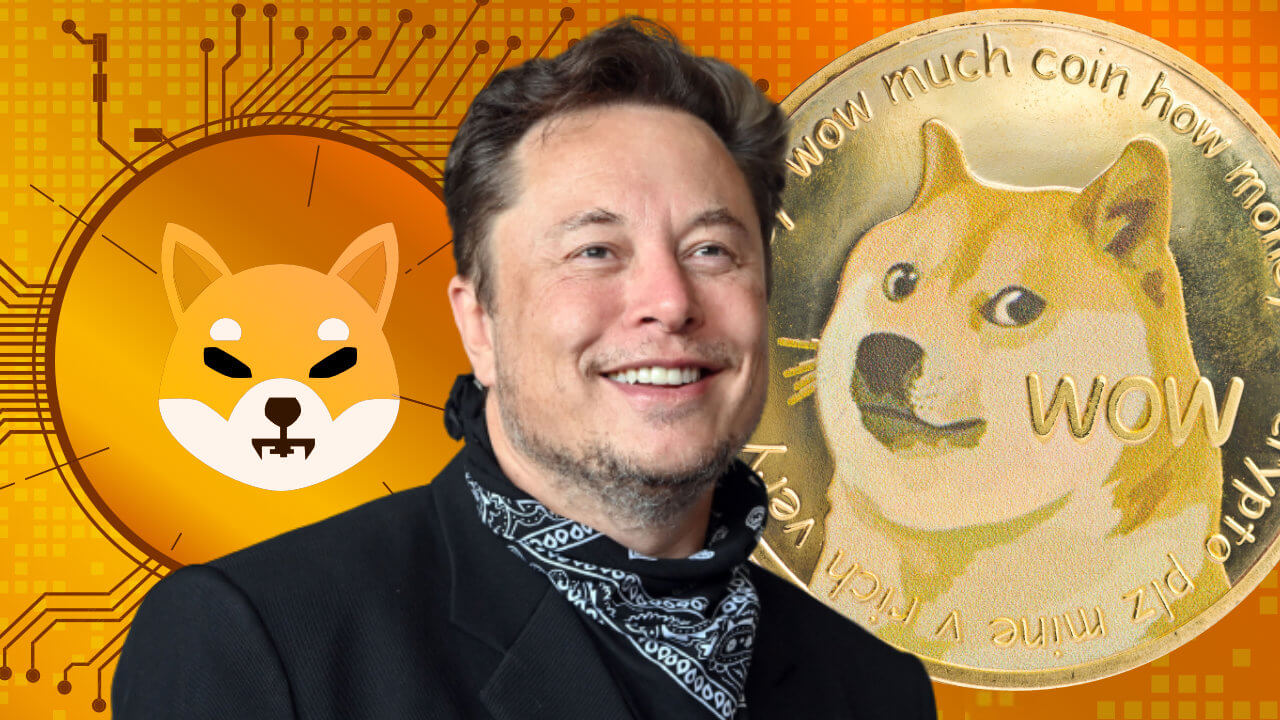 Elon Musk thảo luận về những cải tiến quan trọng của Dogecoin, khẳng định anh ấy không đầu tư vào Shiba Inu