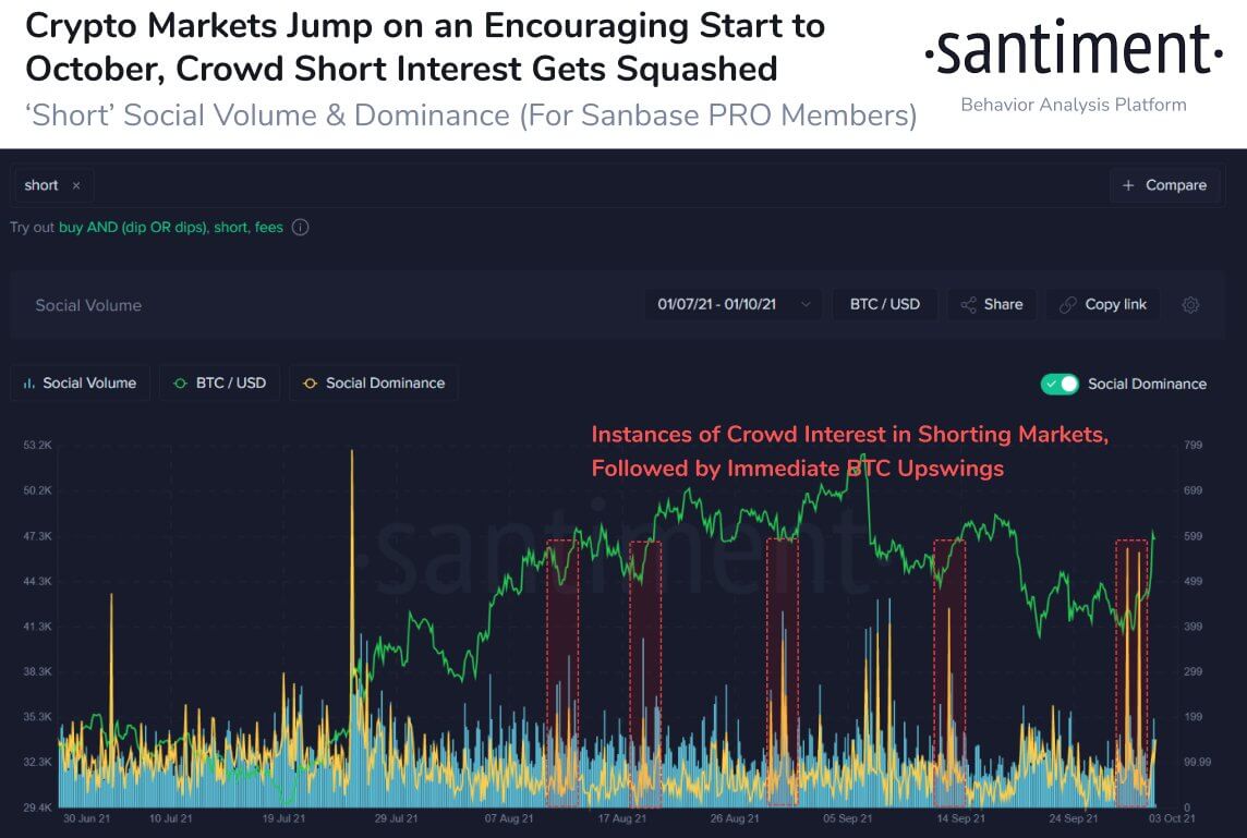 bitcoin-giá-đang-đẩy-cao hơn-nhà đầu tư-hy vọng-cho-một-ngôi sao-cuộc biểu tình-vào-tháng 101