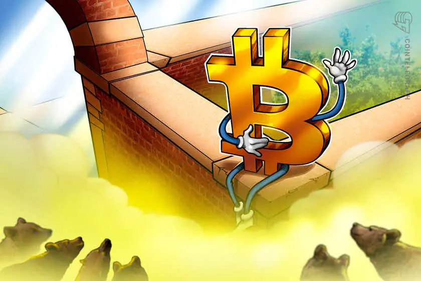 Một cho gấu, một cho 'đòn bẩy cho kiến' - Tin Tức Bitcoin - Cập Nhật Tin Tức Coin Mới Nhất 24/7 2026