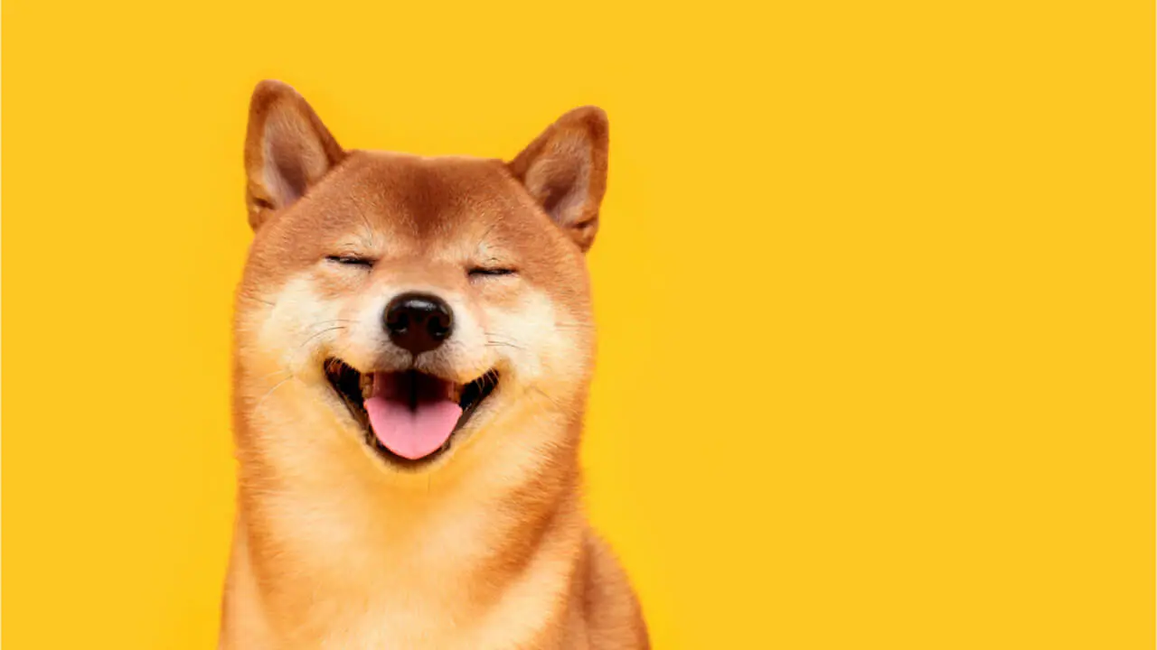 Shiba Inu tăng vọt Knock Dogecoin xuống một nút - 20 người nắm giữ Sở hữu 75% Nguồn cung SHIB - Tin Tức Bitcoin - Cập Nhật Tin Tức Coin Mới Nhất 24/7 2026