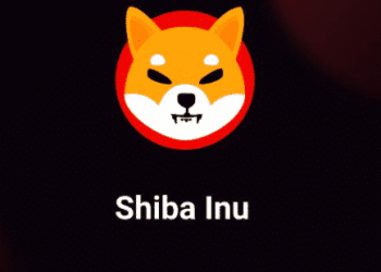 DOGE Rival SHIB, mã thông báo, ethereum