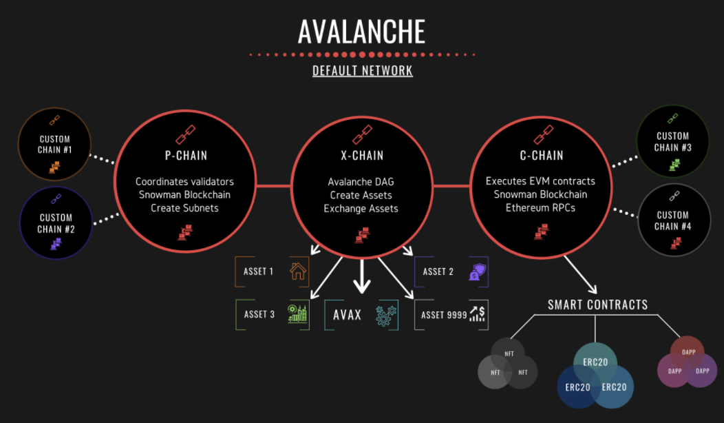 Avalanche đẩy Dogecoin ra khỏi top 10 sau khi giá AVAX tăng 100% vào tháng 11 - Tin Tức Bitcoin 2024