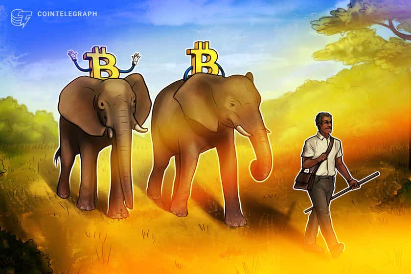 Zimbabwe có thể là quốc gia tiếp theo chấp nhận Bitcoin dưới dạng đấu thầu hợp pháp - Tin Tức Bitcoin 2024