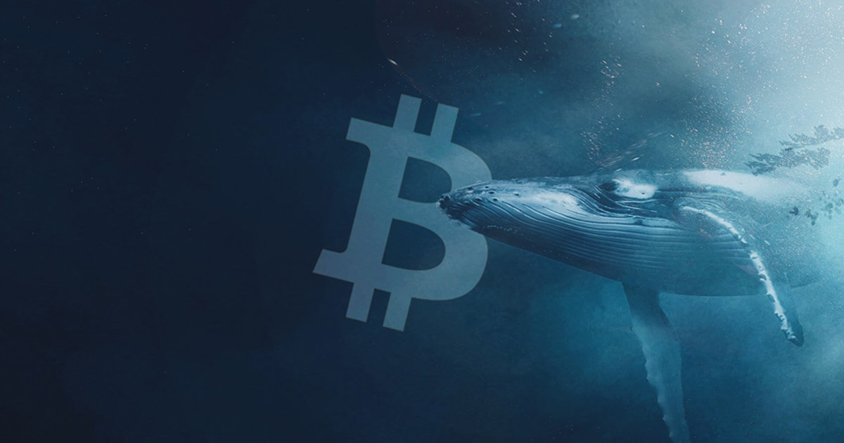 Theo dõi cá voi Bitcoin là thông tin 'vô ích'