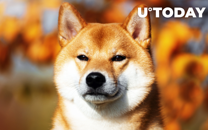 1.14 Tỷ Shiba Inu bị đốt cháy trong một tuần bởi các dự án này: Báo cáo