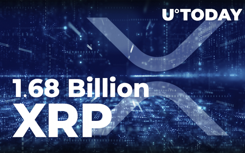 1,6 tỷ XRP được Cá voi di chuyển và trao đổi trong ngày thứ hai liên tiếp - Tin Tức Bitcoin - Cập Nhật Tin Tức Coin Mới Nhất 24/7 2025 1,6 tỷ XRP được Cá voi di chuyển và trao đổi trong ngày thứ hai liên tiếp