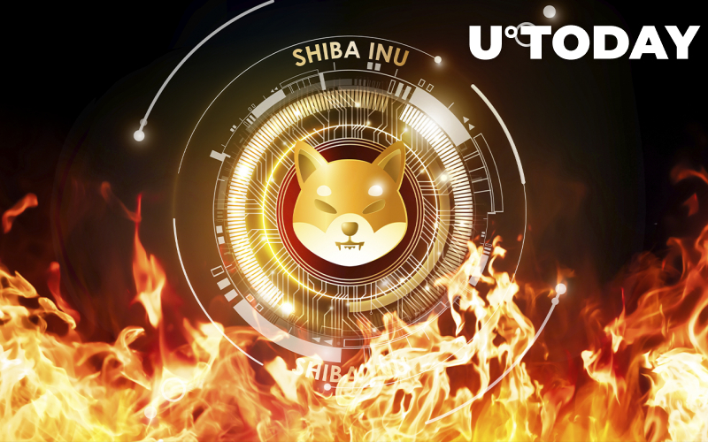 176 triệu SHIB sẽ bị đốt vào ngày 26 tháng 12, 641,3 triệu đồng tiền bị tiêu hủy kể từ tháng 10