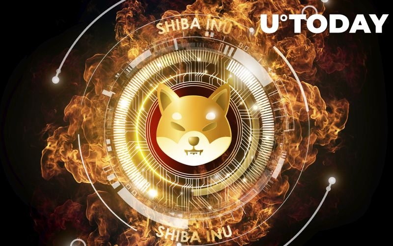 240 triệu SHIB bị phá hủy vào Giáng sinh, 880,9 triệu bị đốt kể từ giữa mùa thu - Tin Tức Bitcoin - Cập Nhật Tin Tức Coin Mới Nhất 24/7 2025 240 triệu SHIB bị phá hủy vào Giáng sinh, 880,9 triệu bị đốt kể từ giữa mùa thu