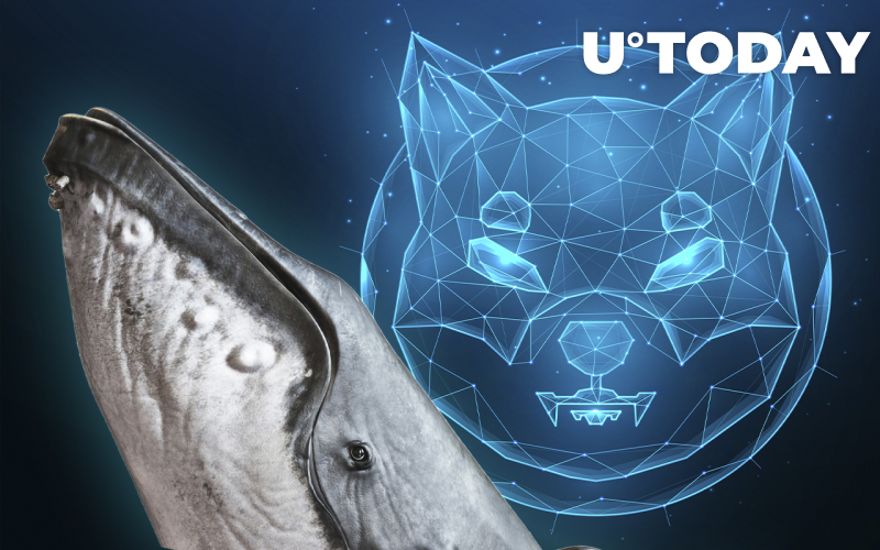 34 tỷ SHIB được Cá voi lớn thứ 13 "Tsunade" mua lại, cộng thêm tới 163,2 tỷ SHIB