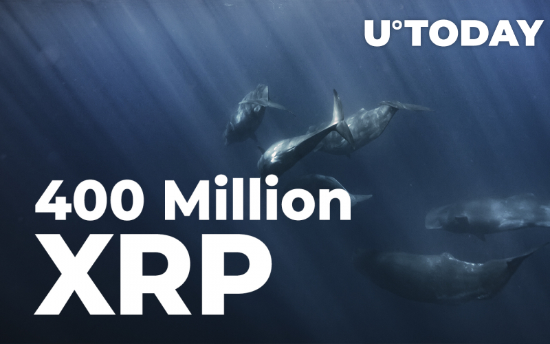 400 triệu XRP được gửi bởi Ripple, Anon Whales và ODL Platform - Tin Tức Bitcoin - Cập Nhật Tin Tức Coin Mới Nhất 24/7 2025 400 triệu XRP được gửi bởi Ripple, Anon Whales và ODL Platform