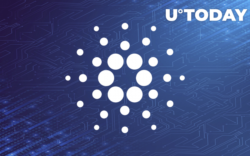 ADA có thể được thiết lập cho cuộc đua bùng nổ, Giám đốc điều hành IOHK cho biết các sáng kiến ​​dựa trên Dozen Cardano sẽ ra mắt vào Q1, 2022