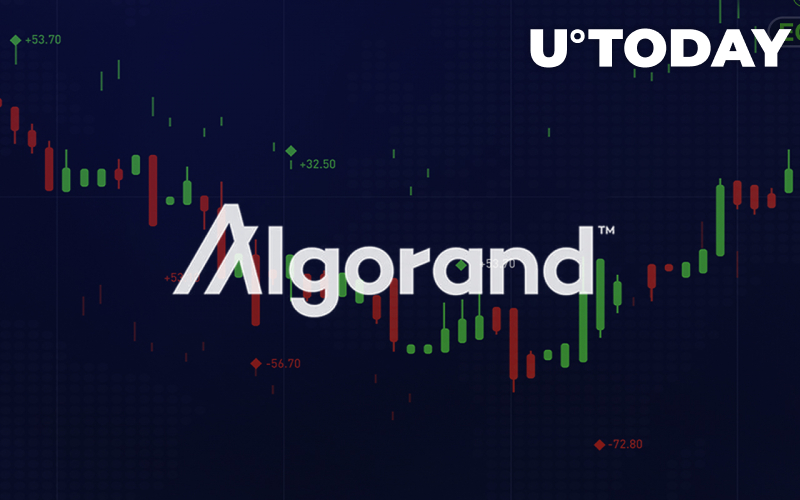 Algorand tăng đột biến 15% cho Sáng kiến ​​mới, Kế hoạch chia sẻ 2 triệu ALGO Tokens