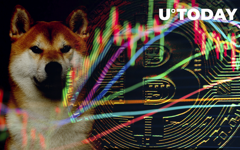 Bitcoin, Shiba Inu, Algorand Up khi thị trường tiền điện tử tăng lên nhờ tâm lý tích cực của nhà đầu tư - Tin Tức Bitcoin - Cập Nhật Tin Tức Coin Mới Nhất 24/7 2025 Bitcoin, Shiba Inu, Algorand Up khi thị trường tiền điện tử tăng lên nhờ tâm lý tích cực của nhà đầu tư