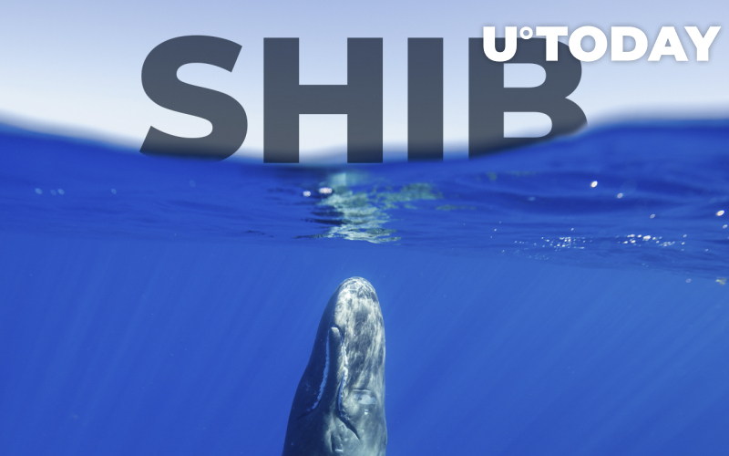 Cá voi ETH hàng đầu vẫn thích SHIB làm tài sản hàng đầu: Chi tiết