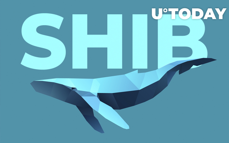 Cá voi SHIB thêm 53 tỷ token làm số dư được giữ bởi những người nắm giữ lớn