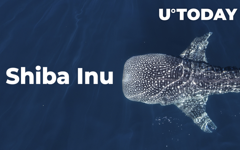 Cá voi Shiba Inu đã mua được số token trị giá hơn 200 triệu đô la trong khi tài sản giảm 22%