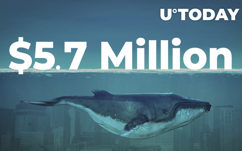 Cá voi Shiba Inu nắm giữ 1 nghìn tỷ Token thu được 3,9 triệu USD SAND - Tin Tức Bitcoin - Cập Nhật Tin Tức Coin Mới Nhất 24/7 2025 Cá voi Shiba Inu nắm giữ 1 nghìn tỷ Token thu được 3,9 triệu USD SAND