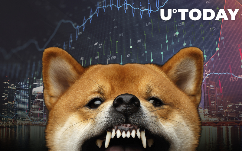 Các nhà đầu tư lớn của Shiba Inu tiếp tục tích lũy bất chấp giá điều chỉnh - Tin Tức Bitcoin - Cập Nhật Tin Tức Coin Mới Nhất 24/7 2025 Các nhà đầu tư lớn của Shiba Inu tiếp tục tích lũy bất chấp giá điều chỉnh