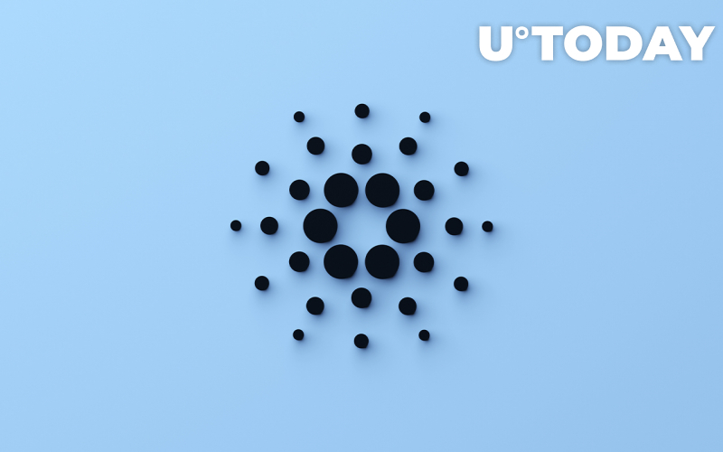 Cardano Nhận thấy Giao dịch với Cá voi tăng nhẹ, Đây có phải là một cú lội ngược dòng không?