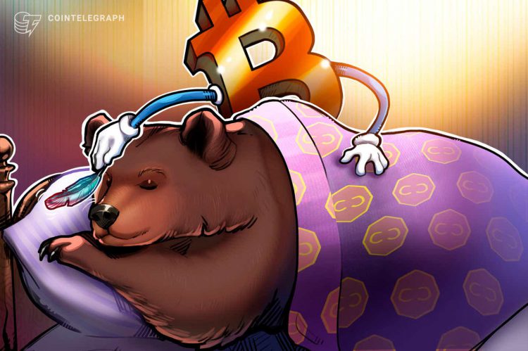 Chúc mừng 'bearay', Bitcoin: Đã 3 năm kể từ khi BTC chạm đáy ở mức 3,1 nghìn đô la