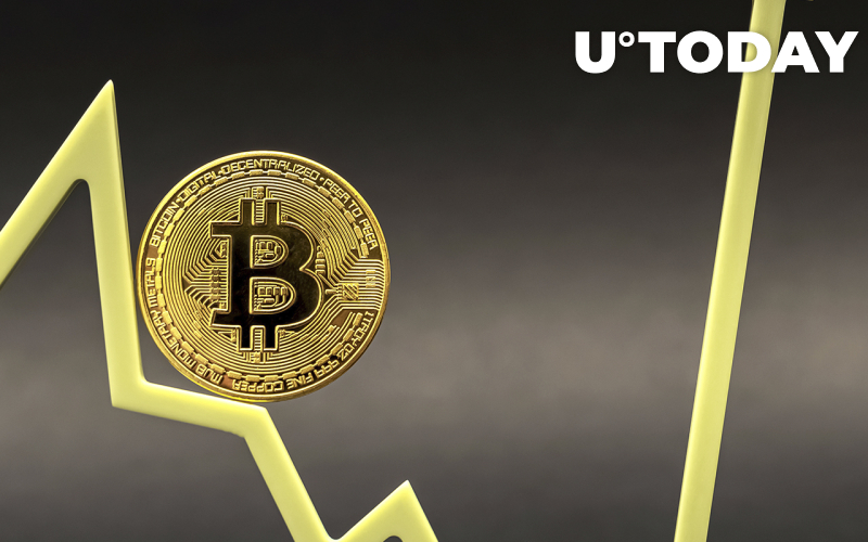 Đây là cách nguồn cung của Bitcoin thay đổi vào năm 2021: Kho bạc công ty, BTC được bọc và các phương tiện đầu tư của sàn giao dịch