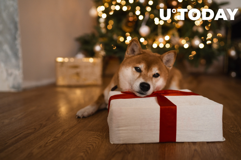 Dog Coin Skyrockets 4.000% vì Elon Musk Tweet - Tin Tức Bitcoin - Cập Nhật Tin Tức Coin Mới Nhất 24/7 2025 Dog Coin Skyrockets 4.000% vì Elon Musk Tweet