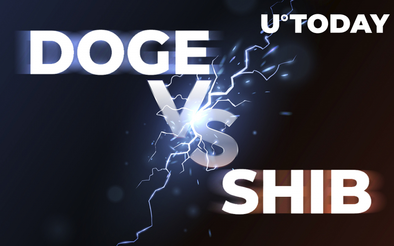 Dogecoin và Shiba Inu trong cuộc đấu tranh giành tiền điện tử lớn nhất thứ 12, ai thắng?