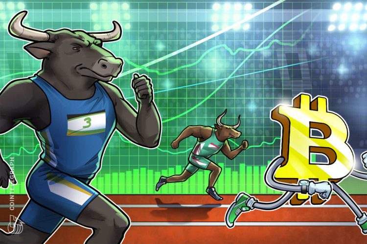 'Động thái tăng giá của con quái vật' có nghĩa là cá voi có thể đảm bảo cho đợt tăng giá Bitcoin tiếp theo - Tin Tức Bitcoin - Cập Nhật Tin Tức Coin Mới Nhất 24/7 2025 'Động thái tăng giá của con quái vật' có nghĩa là cá voi có thể đảm bảo cho đợt tăng giá Bitcoin tiếp theo