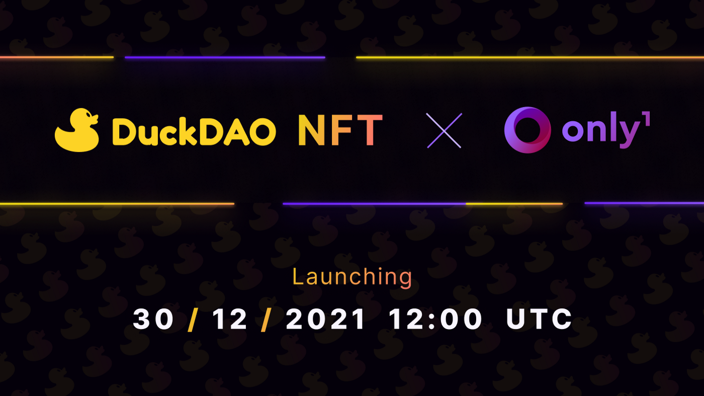 DuckSquad - NFT đầu tư mạo hiểm phi tập trung đầu tiên ra mắt trên Only1 - Tin Tức Bitcoin - Cập Nhật Tin Tức Coin Mới Nhất 24/7 2025