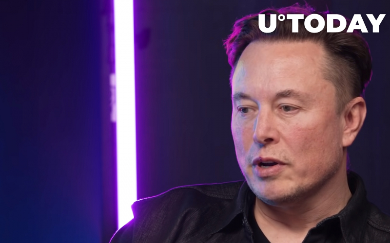 Elon Musk Trolls Những người hoài nghi NFT trong ngành âm nhạc