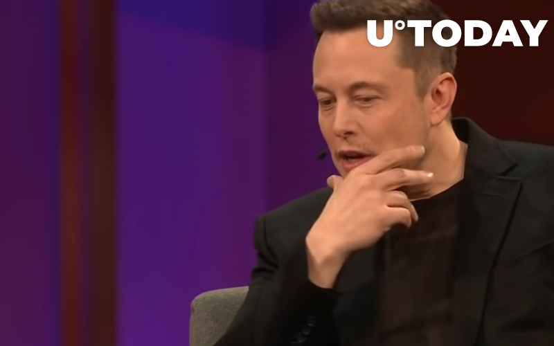 Elon Musk tin rằng Sen Warren ghét tiền điện tử nên rời Thượng viện vì điều tốt đẹp: Chi tiết