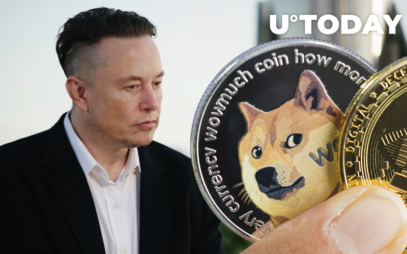 Elon Musk và Dogecoin Creator liên tục tấn công Web3, đăng ảnh GIF gây tranh cãi